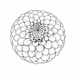 Rusty D dahlia