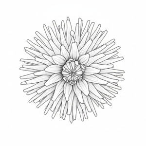 Jax Char Joy dahlia