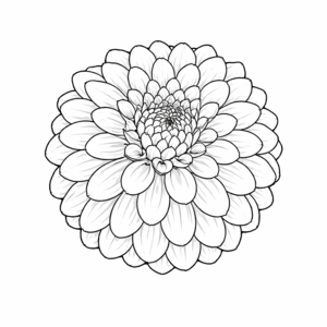 Nadine dahlia