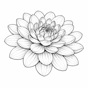 Etoile De Wensel dahlia